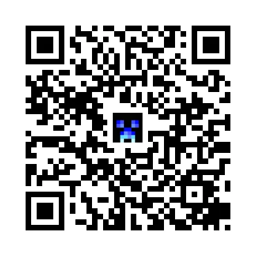 skins.qr_code_alt