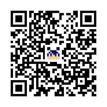skins.qr_code_alt