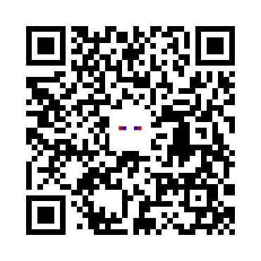 skins.qr_code_alt