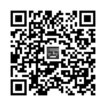 skins.qr_code_alt