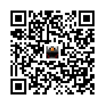 skins.qr_code_alt