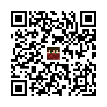 skins.qr_code_alt