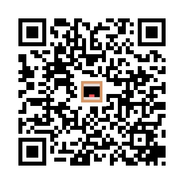 skins.qr_code_alt