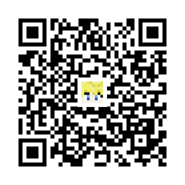 skins.qr_code_alt