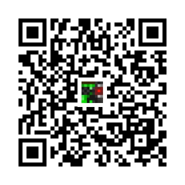 skins.qr_code_alt