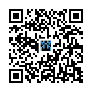skins.qr_code_alt