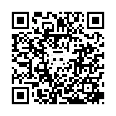 skins.qr_code_alt