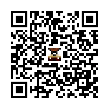 skins.qr_code_alt