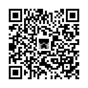 skins.qr_code_alt