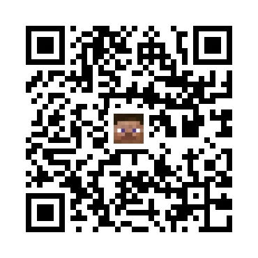 skins.qr_code_alt