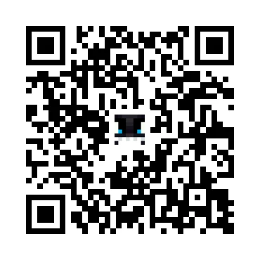skins.qr_code_alt