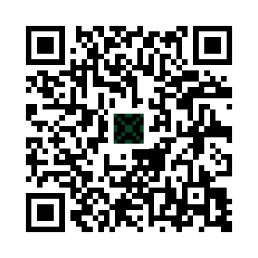 skins.qr_code_alt