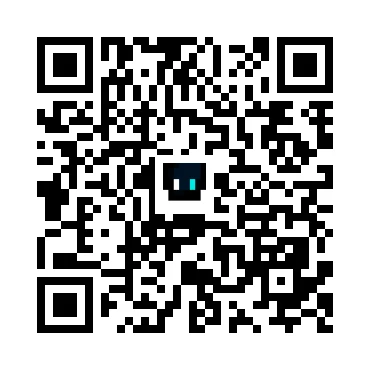 skins.qr_code_alt