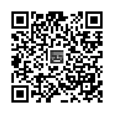 skins.qr_code_alt