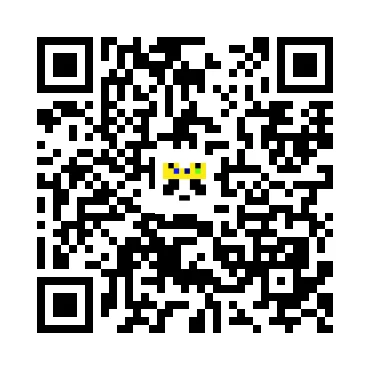 skins.qr_code_alt