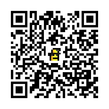 skins.qr_code_alt