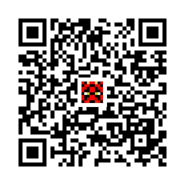 skins.qr_code_alt