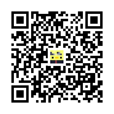 skins.qr_code_alt