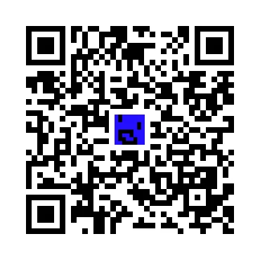 skins.qr_code_alt