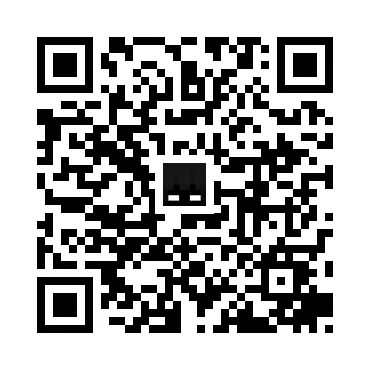 skins.qr_code_alt