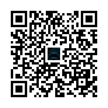 skins.qr_code_alt