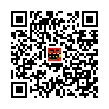 skins.qr_code_alt