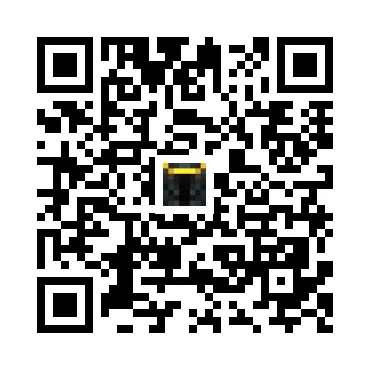 skins.qr_code_alt