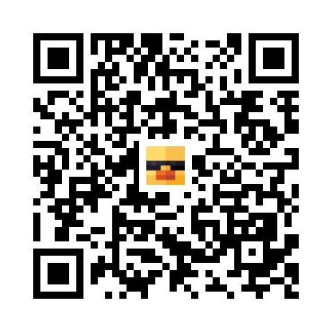 skins.qr_code_alt