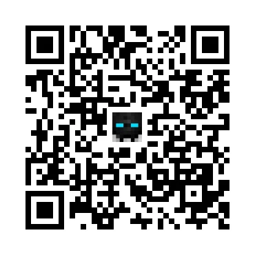 skins.qr_code_alt
