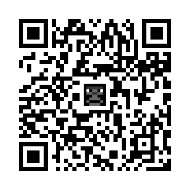 skins.qr_code_alt