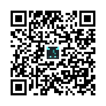 skins.qr_code_alt