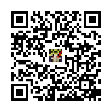 skins.qr_code_alt
