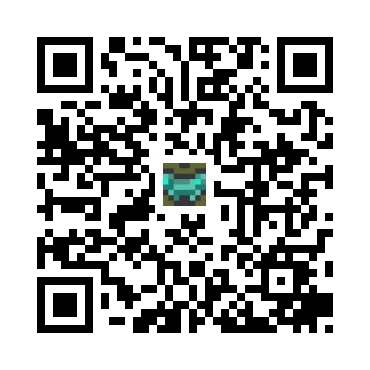 skins.qr_code_alt