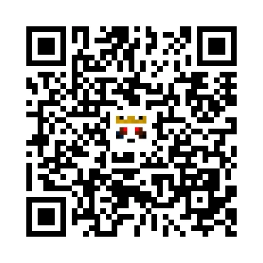 skins.qr_code_alt