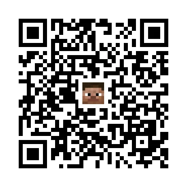 skins.qr_code_alt