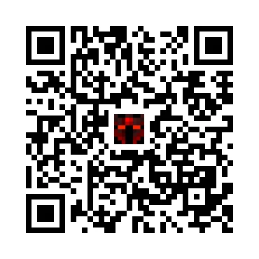 skins.qr_code_alt