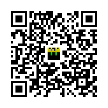 skins.qr_code_alt