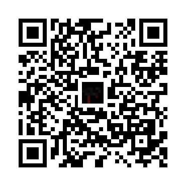 skins.qr_code_alt