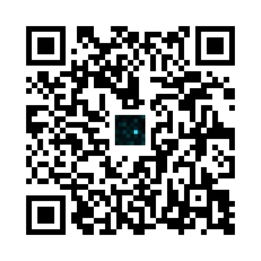 skins.qr_code_alt