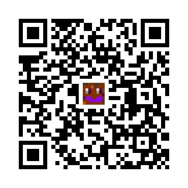 skins.qr_code_alt