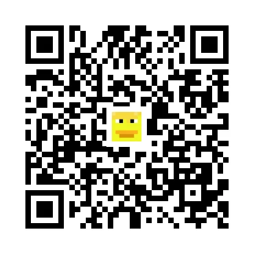 skins.qr_code_alt