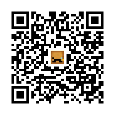 skins.qr_code_alt