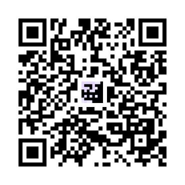 skins.qr_code_alt