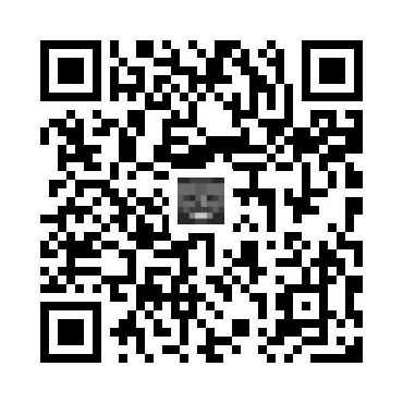 skins.qr_code_alt