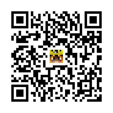 skins.qr_code_alt