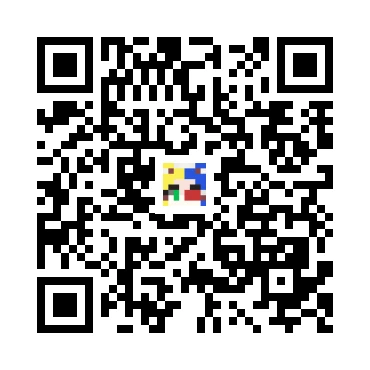 skins.qr_code_alt