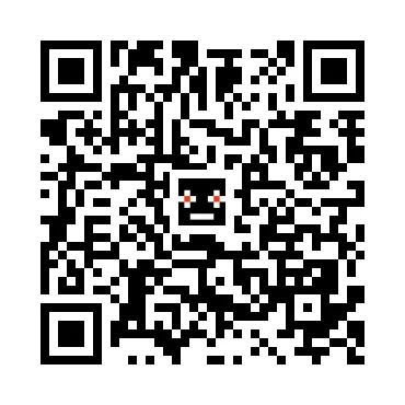 skins.qr_code_alt