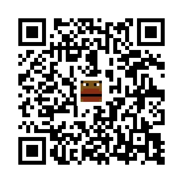skins.qr_code_alt