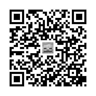 skins.qr_code_alt