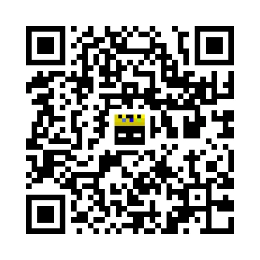 skins.qr_code_alt